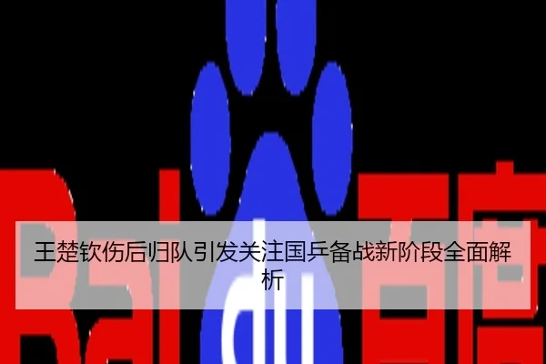 王楚钦伤后归队引发关注国乒备战新阶段全面解析